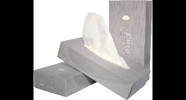 40X Europroducts papieren zakdoeken, 2-laags, 100 vellen