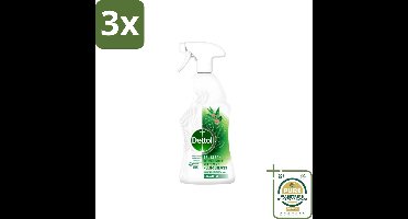 3 x Dettol Allesreiniger Spray Eucalyptus 500 ml - Grootverpakking - Allesreiniger - Vet En Vlekken Verwijderen - Eucalyptus Geur - Natuurlijke Ingrediënten - Hygiëne