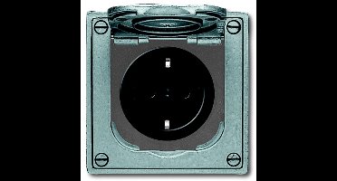 ABB Busch-Jaeger All-weather IP44 Wandcontactdoos (schakelmateriaal)