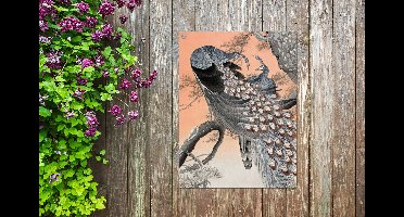 Tuin decoratie Dieren - Pauwenveren - Vintage - Pauw - 30x40 cm - Tuindoek