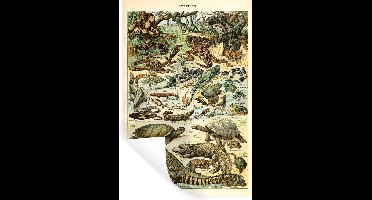 Muurstickers - Sticker Folie - Reptielen - Dieren - Natuur - 20x30 cm - Plakfolie - Muurstickers Kinderkamer - Zelfklevend Behang - Zelfklevend behangpapier - Stickerfolie