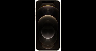 Apple iPhone 12 Pro 15,5 cm (6.1") Dual SIM iOS 14 5G 512 GB Goud