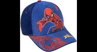 Spiderman Kinderhonkbalpet 53 cm