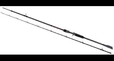 Fox Rage Warrior Pike Baitcasting Hengel Zilver 2.30 m / 60-140 g