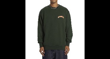 Dc Shoes Varsity Sweatshirt Groen M Man