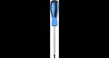 BRILLIANT TOOLS Schroevendraaier TORX T40 x 150 mm - BT031045