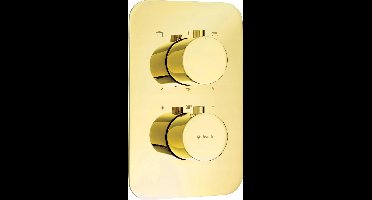 Deante Box Externe Thermostatische Douchekraan BXY ZEBT Goud