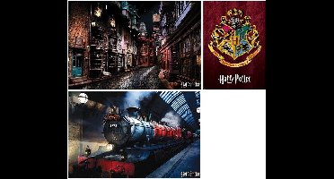 Display Maxi Posters Harry Potter X60