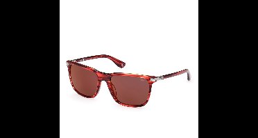 Bmw Bw0037 Zonnebril Rood Man