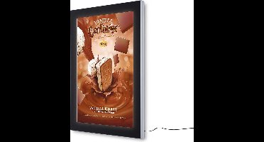 LED Outdoor Premium Poster Case 70 X 100 cm - Syna SCEOS70X100LED - Horeca & Professioneel