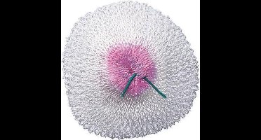 Coleman Gloeikousje - Compact lantaarn 226 - 2 Stuks