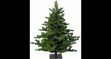 Kerstboom 180 cm