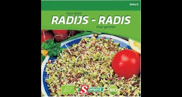 Kiemen Radijs - Bio
