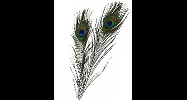 HBX Pauwenveren - 3x - 80 tot 90 cm - multi kleuren - namaak decoratie veren van een Pauw