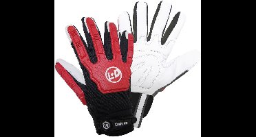 Leipold Doehle GRIFFY Deluxe 1716-10 Montagehandschoen Geiten nappaleer Maat (handschoen): 10, XL EN 388, EN 21420:2020