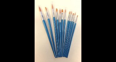 Penselen Set - 12 Verschillende Maten -6 x rond - 6 x plat