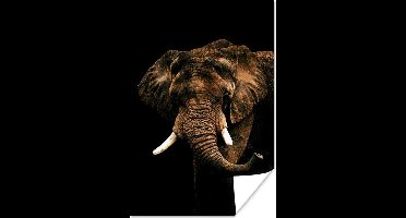 Poster Olifant - Zwart - Bruin - 20x30 cm