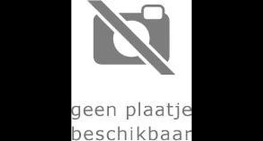 Tak and the Power of Juju-Standaard (GBA) Gebruikt