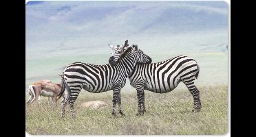 Muismat Dierenvriendschappen - Twee knuffelende zebra's muismat rubber - 27x18 cm - Muismat met foto