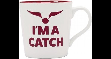 Harry Potter - Beker Boxed - Quidditch Catch