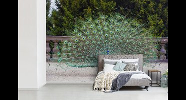 Behang - Fotobehang Pauw - Vleugel - Staart - Breedte 420 cm x hoogte 280 cm