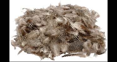 Veren van parelhoen, ca. 1000 stuk, naturel, 50 gr/ 1 doos