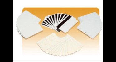 Zebra plasic cards, pacck of 500