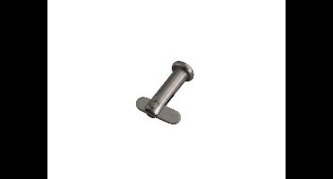 Talamex Dropnosepin RVS 10 x 120 mm