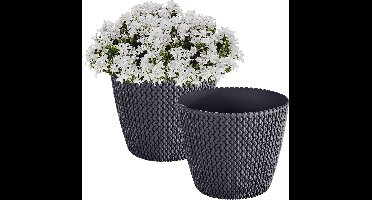 Prosperplast Plantenpot/bloempot Splofy - 2x - antraciet - kunststof - D13 x H11 cm - binnen/buiten - stijlvol