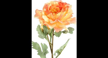 PTMD Peony Flower Orange With Bud