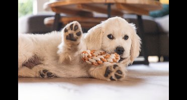 Beeztees Puppy Dental Touwring Mik - Hondenspeelgoed - TPR/Katoen - Beige/Bruin - 14x14x3,2 cm