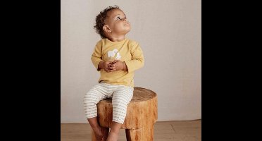 Little Dutch Lange broek - Maat 50 - Legging Jongens & Meisjes - Multi Stripe, Meerkleurig - Little Farm