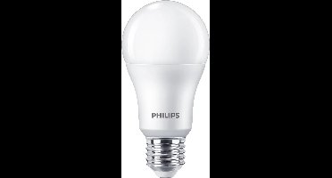 Philips LED Lamp Mat - 100 W - E27 - Warmwit licht - 2 stuks