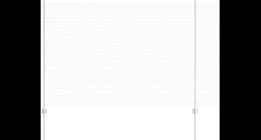 vidaXL - Hek - met - Paal - Zilverkleurig