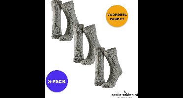 Apollo - Wollen Huissokken Unisex - 3-Pack Voordeel - Grijs - Maat 39/42 - Huissokken - Wintersokken antislip