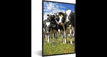 PosterMonkey - Poster - Fotolijst - Koeien - Koe - Dieren - Natuur - Weiland - Posterlijst - Kader - Poster met frame - 60x90 cm - Foto in lijst - Poster koe - Poster natuur - Posterlijst