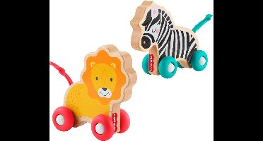 FISHER-PRICE Houten duwdierenbotten - JFN19