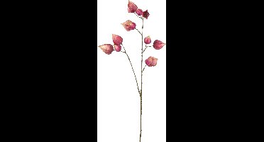 Countryfield Kunsttak Physalis paars