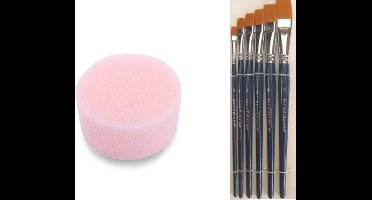 Partyxplotion Make Up Schmink penselen set 6x en make up sponsjes - schminkset - voor kinderen en volwassenen