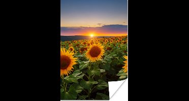 Poster Bloemen - Nacht - Zonsondergang - Zonnebloem - Horizon - 20x30 cm