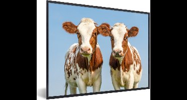 PosterMonkey - Fotolijst - Koeien - Koe - Dieren - Natuur - Kalfjes - Poster - Frame - 40x30 cm - Posterlijst - Foto lijst - Poster koe - Poster met kader