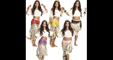 Boland - Set Belly dance assorti - Volwassenen - Vrouwen - Buikdanseres - 1001 Nacht