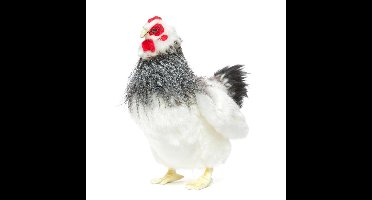 Hansa pluche kip knuffel 23 cm