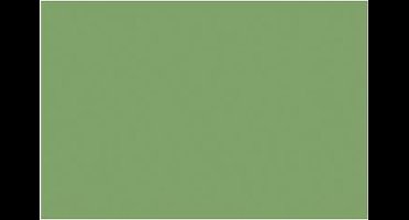 Tekenpapier Folia appelgroen - 50x70cm 130gr pak 25 vel