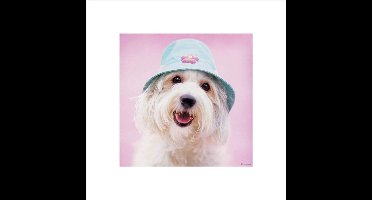 Pyramid Poster - Rachael Hale Cindy - 40 X 40 Cm - Multicolor