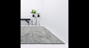 Vloerkleed Xilento Shades Hunter | 200 x 300 cm