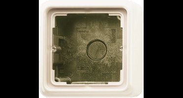 Jung CD500 Opbouwdoos Verzonken Schakelmateriaal schakelmateriaal - CD581AW - E2U8C