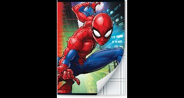 Spider-Man schriften Ruit 10 mm A4 - 2 stuks