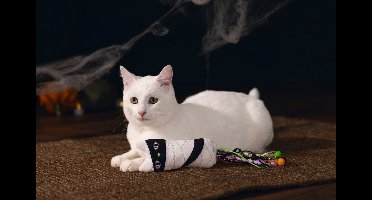 Beeztees Halloween Kattenspeeltje Mummie - Pluche met Kattenkruid en Knisperfolie, 35x7x3,5 cm