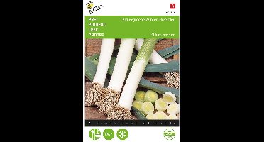Buzzy® Prei Blauwgroene Winter, Hiverbleu